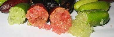 We did not find results for: Finger Lime Arca Del Gusto Slow Food Foundation