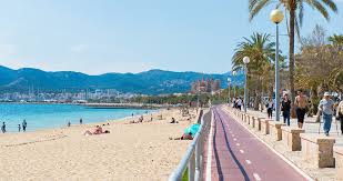 Monday of each month to address the regular business of the school . Can Pere Antoni Strand In Palma Mallorca Entdecken