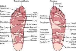 reflexology chart meaning chinese foot reflexology points to