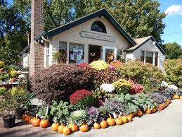 A secret garden flower shop. Jamestown Florist Flower Delivery By The Secret Garden