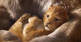 Was Any Part Of The Lion King Real Revelist