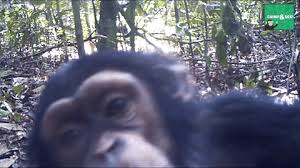 images?q=tbn:ANd9GcRGH_DPAb0QbyyjJvWMU0i