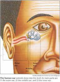 Pin On Speech References
