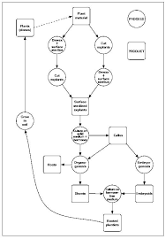 Cell suspension culture plant tissue culture techniques, the status of plant tissue culture in ethiopia seminar ii, banana tissue culture information guide for beginners agri, flow chart summarizing tissue culture experiments, 013 animal cell culture flow chart flowchart of sampling and. Flow Chart Summarizing Plant Cell And Tissue Culture Experiments Download Scientific Diagram