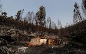 Incêndio de monchique | video 2. Incendio Florestal Ruma Para O Sul De Portugal E Ameaca Cidades Turisticas Mundo G1