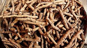 மாகாளி கிழங்கு தரும் மாபெரும் நன்மைகள்!