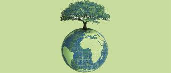  environment has played very important role to make able to survive for all biotic and abiotic component in earth. Unsd Environment Statistics