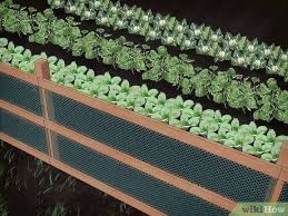 Similarly, keeping animals out of containers has one failsafe option. 3 Ways To Keep Animals Out Of Your Vegetable Garden Wikihow