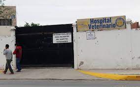 Sign in | create account. Reabre Sus Puertas La Clinica Veterinaria De Icb De La Uacj El Heraldo De Juarez Noticias Locales Policiacas Sobre Mexico Chihuahua Y El Mundo