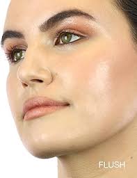 Juice Beauty Phyto-pigments Last Looks Cream Blush, Flush : Amazon.ca:  Beauty & Personal Care