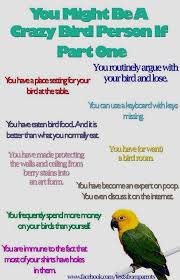 Untitled In 2020 Funny Parrots Parrot Funny Birds