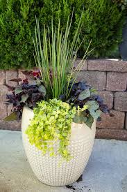 Flowers in pots for shade. 6 Sensational Container Recipes For Shade Green Acres Nursery Supply