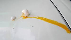 If egg residue is left to sit on the surface of a car and dry it can prove to be very difficult to remove and can even inflict damage. Remove Egg From Car Paint Without Any Damage This Worked