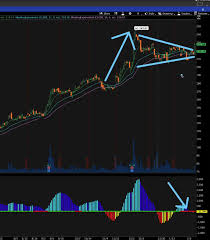 This is the vertical histogram which indicates the direction of momentum. Did You Miss This 35 Overnight Winner Raging Bull