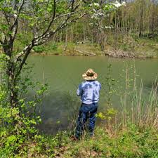 Dnr Indiana Fish Stocking