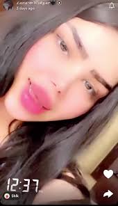 Yaday Tato Malaf Lava Tarani