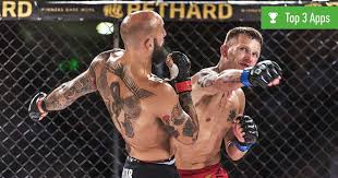 Ufc Live Stream Die 3 Besten Kostenlosen Apps Im Test