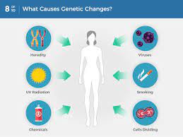 Cancer is a disease of the cells. What Is Cancer National Cancer Institute