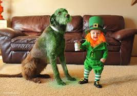 These Photos Of A Real Life Baby Leprechaun Will Make Everyone Wish They Were Irish Leprechaun St Patricks Day Pictures St Patrick S Day Photos