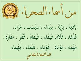 من أسماء الصحراء نادي اللغة العربية Facebook