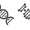 Typically eukaryotic cells have large linear chromosomes and prokaryotic cells smaller circular 3.2 location in the cell. 1