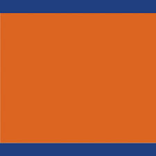 Image result for Municipal Orange 2009 Fleet