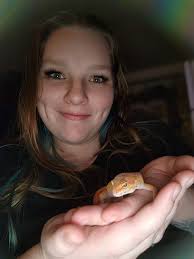 Leopard geckos are the best pets