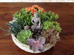 Pin By Mary Vasquez On Terrarium Succulents Succulent Gardening Mini Zen Garden