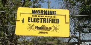 An electric bike is a different vehicle from a typical pedal bike. Electric Fencing Chickens Keeping Chickens A Beginners Guide