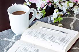 We did not find results for: How To Study The Bible For Beginners Free Inductive Bible Study Guide