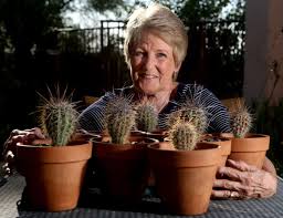 It was roughly 200 years old, 46 feet tall, and sported a dozen arms. Want To Leave A Desert Legacy Grow A Saguaro Home Garden Tucson Com