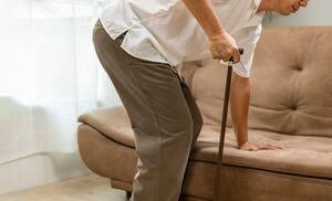 High sarcopenia prevalence in Iran calls for targeted nutritional  interventions