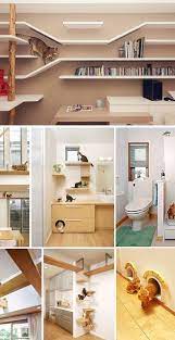 I've built a, catwalk, out from my laundry room window for lol, i'll post a separate project page on this. 20 Creative Indoor Cat Playground Ideas Home Design Lover Cat Houses Indoor Cat Playground Cat Room