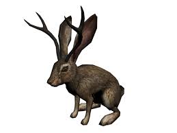 Über 7 millionen englischsprachige bücher. Jackalope Red Dead Wiki Fandom