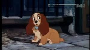 Pubblicato il 18 luglio 20096 agosto 2009 di friskon. Lilly E Il Vagabondo Trailer Italiano 1955 Coming Soon Television Rip Youtube