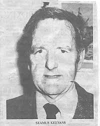 1981 Mick Butler and George O'Connor. Wex. V Offaly Leinster Final. Wex  2-13 Offaly 3-12.