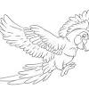 This is the collection of parrot coloring pages. 3