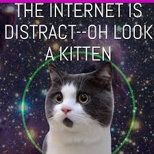 Posted by valerie in theater production on august 1, 2015 | 1 comment ». Theinternetisdistractohlookakitten Instagram Posts Photos And Videos Picuki Com