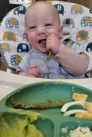 Fundraiser by Natalie Danyal : Buy equipment for Nates medical diet