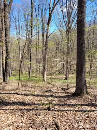 North Tower and Green Valley Loop, Indiana