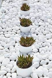 What you need are just white pebbles and river rocks. Kirini Santorini White Pebble Garden Pebble Garden Stone Landscaping