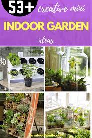 53 Creative Mini Indoor Garden Ideas Farmfoodfamily Indoor Garden Creative Gardening Buy Indoor Plants