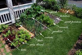 Our aim with this gallery is to provide you many front yard garden ideas. Front Yard Vegetable Garden One Month Update Front Yard Garden Fall Garden Vegetables Veggie Garden