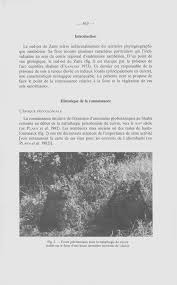 Image result for Cyphia gamopetala