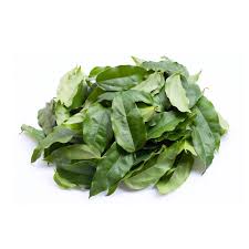 Image result for Tiliacora