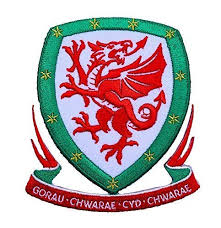There are several stories which link wales with the leek. Amazon Com Wales Football Patch 3 5 Inch Embroidered Iron Sew On Badge Welsh Soccer World Cup Crest Handmade