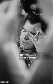 130 Whited Stock Photos, High-Res Pictures, and Images