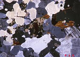 Gneiss Thin Section Geology Rocks Gneiss Rocks And Minerals