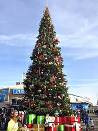 Read on to see them all. Christmas In San Francisco Fun Christmas Activities In Sf For 2019