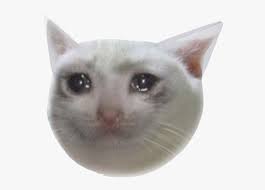 Sadcat meme memes sad cat. Cryingcat 181 Kb Crying Cat Meme Png Transparent Png Kindpng
